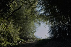 坂道を上がりきる