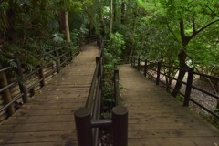 歩道橋