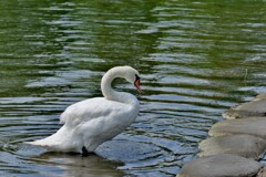 DSCF4067