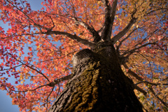 DSCF1179 