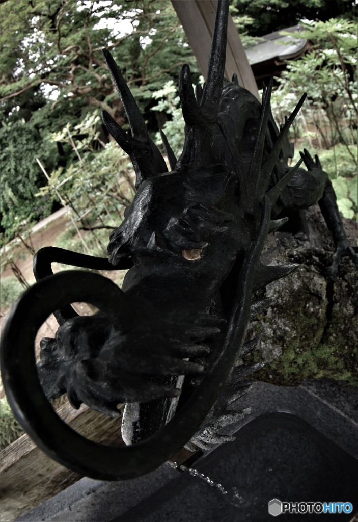 DSC_8361「眼力」