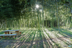 蜘蛛の巣