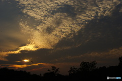 _DSC3811「夕刻」