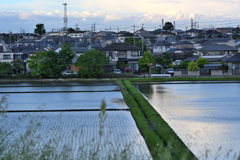 水田