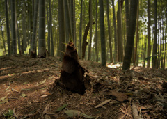 大地を突き破る