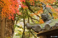紅葉