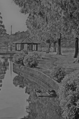 今日はカメの日