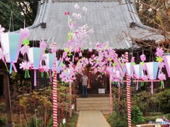 さくら祭り