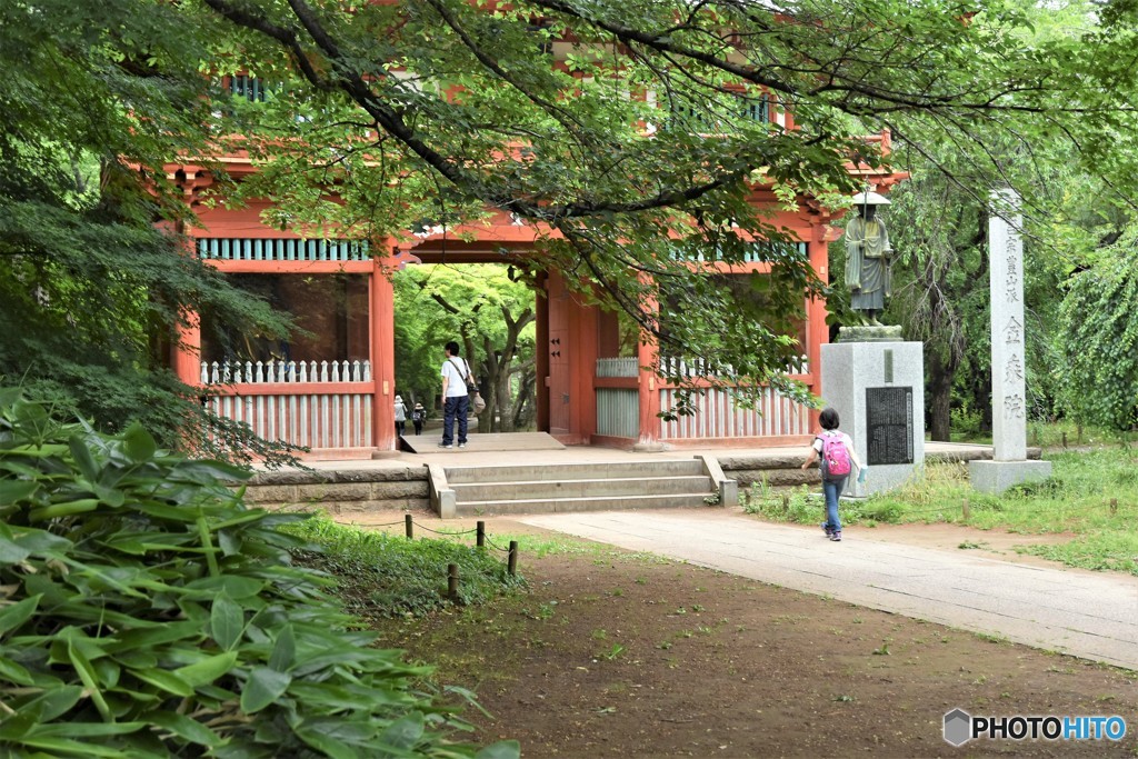 DSC_8451「緑の中へ」