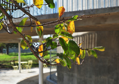 DSCF7873