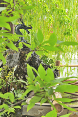 手水舎