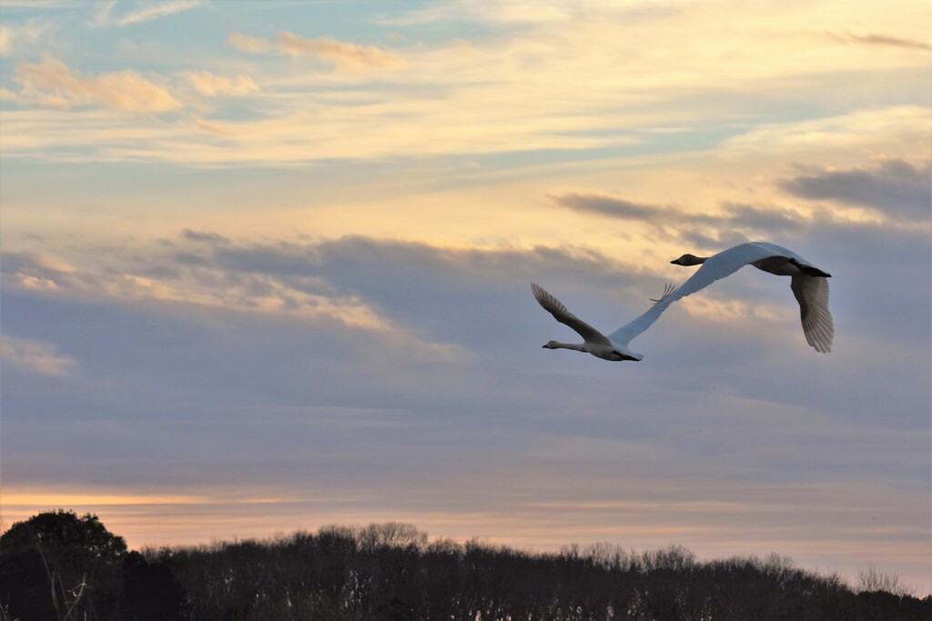 手をつないで帰宅！