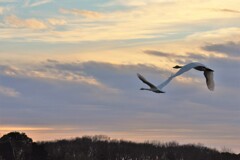 手をつないで帰宅！