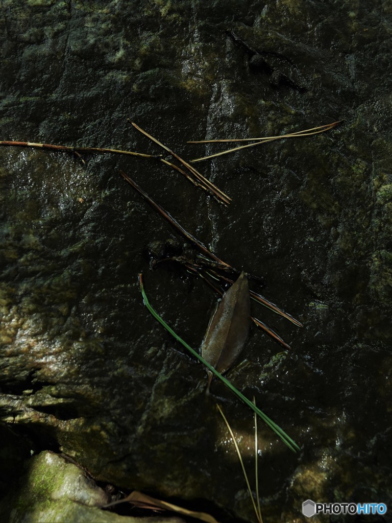 沓脱石(くつぬぎいし)