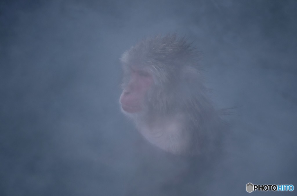 DSC_0189「無心」