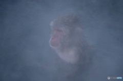 DSC_0189「無心」