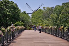 花のコンテスト