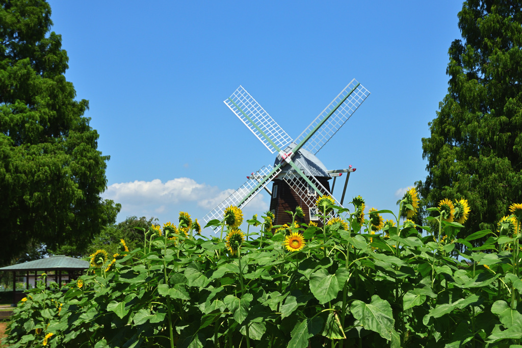 写真を撮りま～す