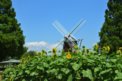 写真を撮りま～す