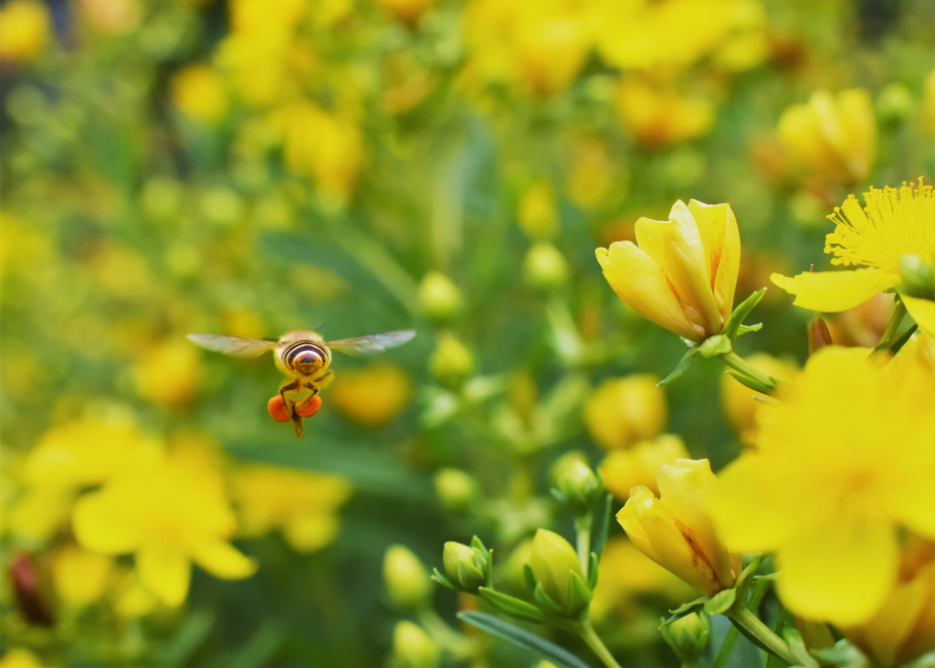 後ろからゴメン