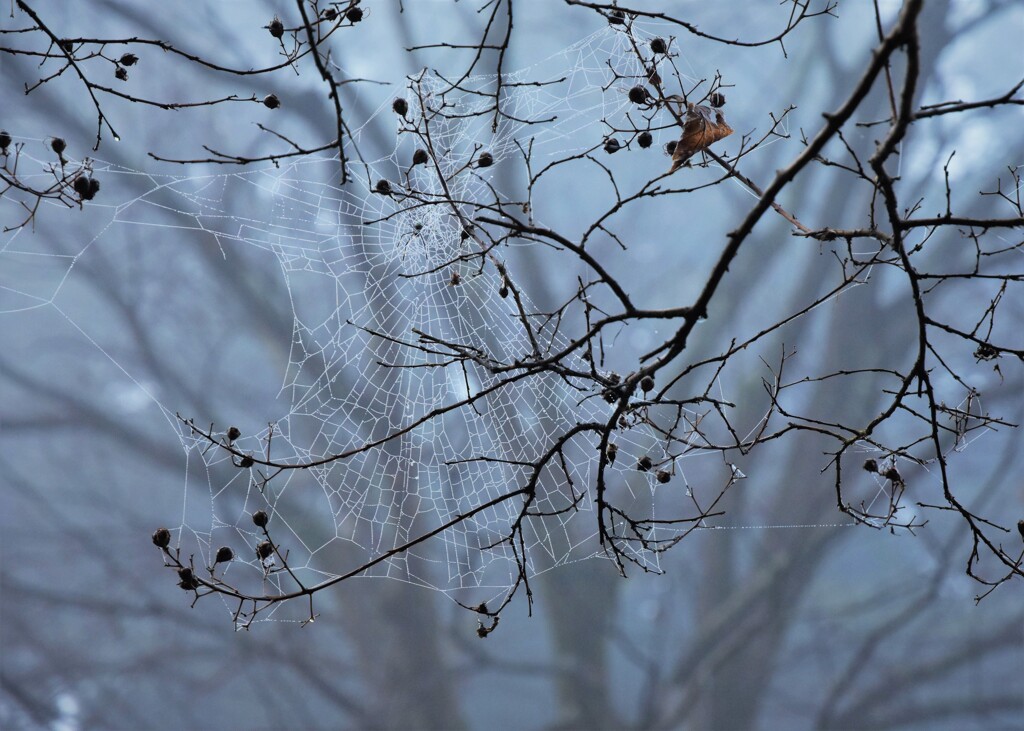 冷え込みました