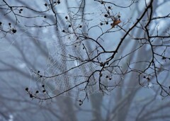 冷え込みました