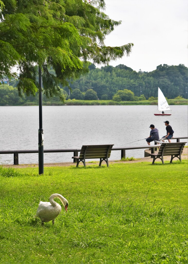 休日の過ごし方