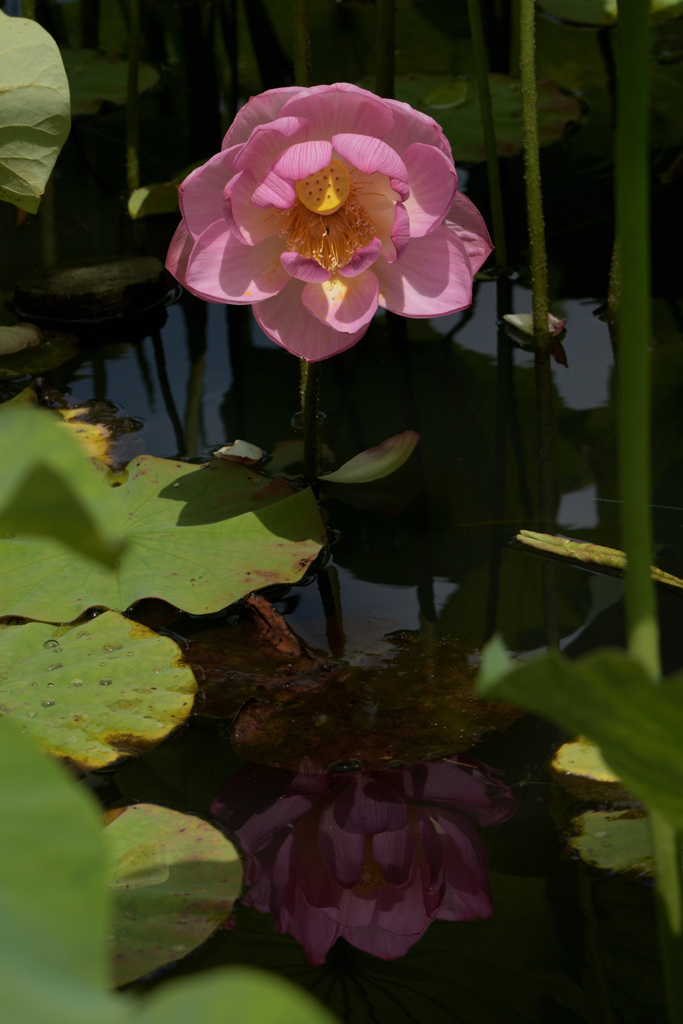 DSC_8751