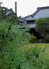DSCF8364