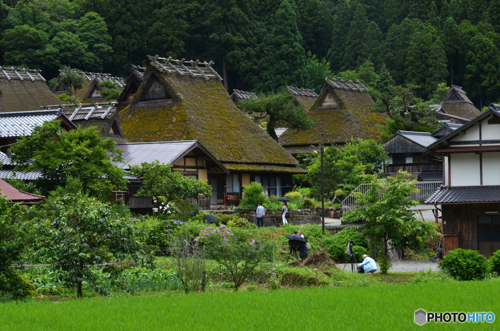 ６月の京都 美山
