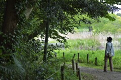 見上げるDSC_6422 