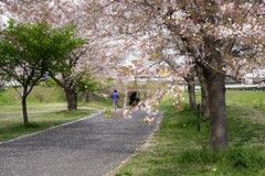 DSCF7219 DSCF7219