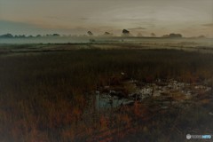 DSC_7599「朝靄」