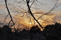 夕日