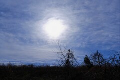 DSCF5832