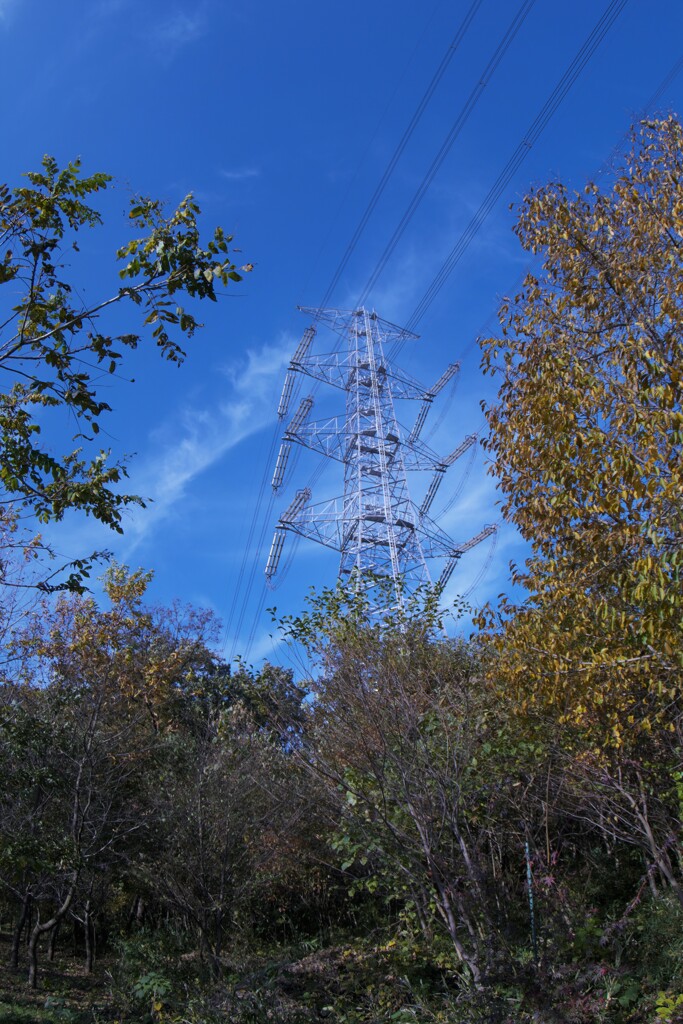 送電線・・東京へ