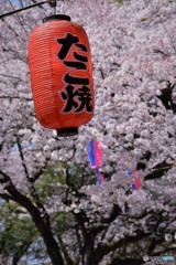 たこ焼きいかがですか