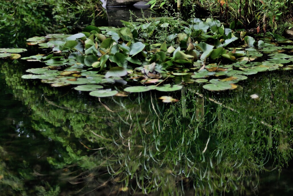 DSC_5855