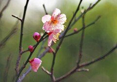 DSCF6827 DSCF6827
