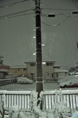 雪が降りました