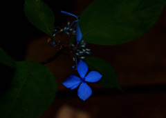 終焉