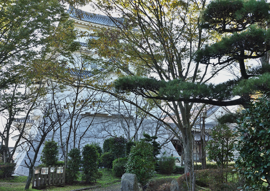 城