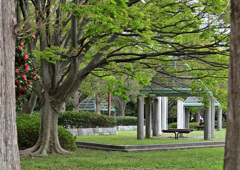 公園