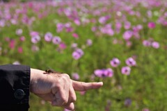  この指と～まれ？？