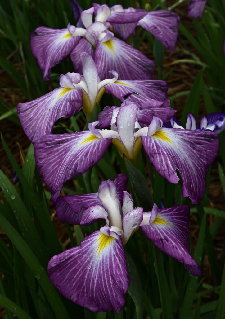 DSC_8939