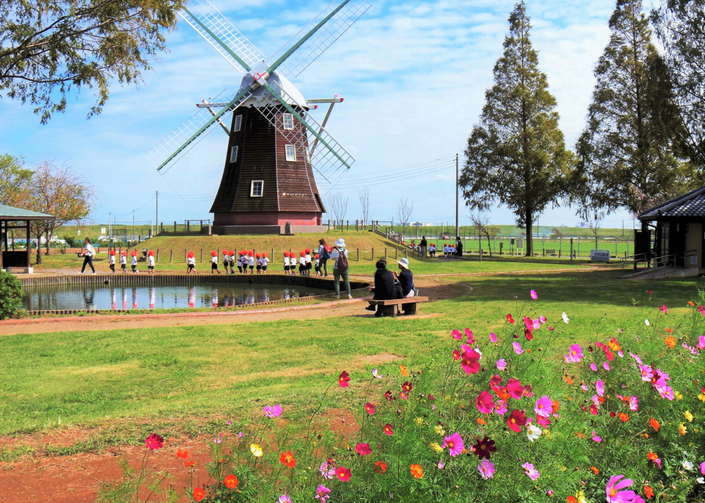 コスモスの咲く頃