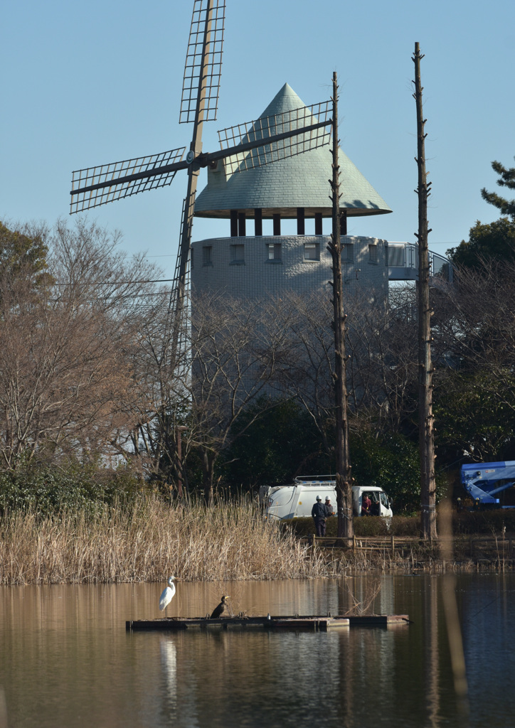 DSC_3401