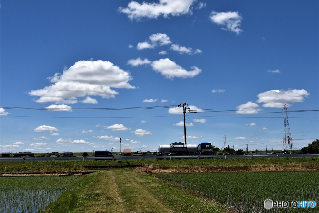 DSC_7881「トラック」