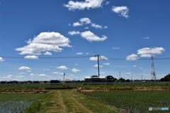 DSC_7881「トラック」