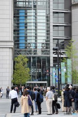 赤信号皆で待つ青信号